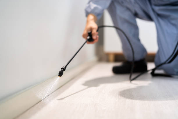 Licensed Mosquito Control service in Albion, MI - Show Me Pest Control