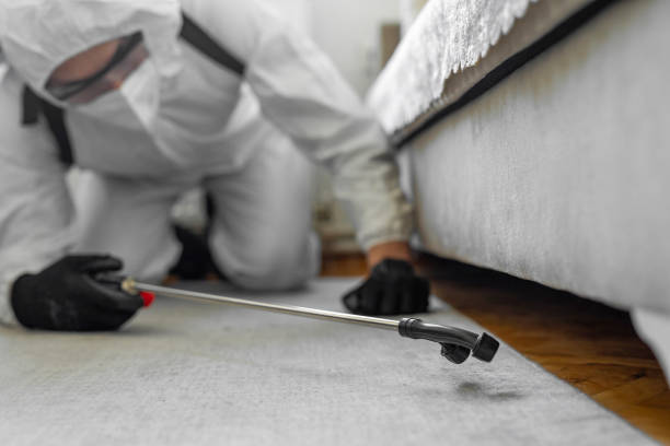 Professional Ant Control technician working in Albion, MI