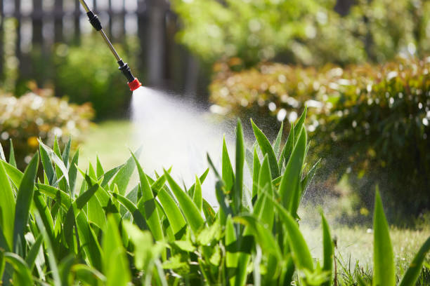 24/7 Emergency Mosquito Control experts in Albion, MI