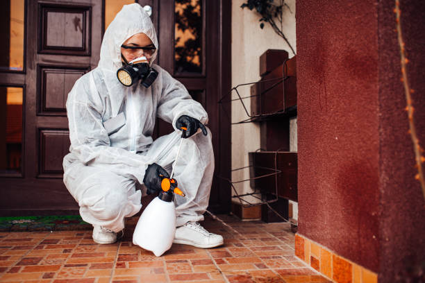 Reliable Mosquito Control contractor in Albion, MI by Show Me Pest Control