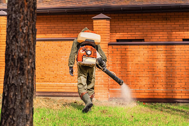 Top rated local Mosquito Control specialists in Albion, MI
